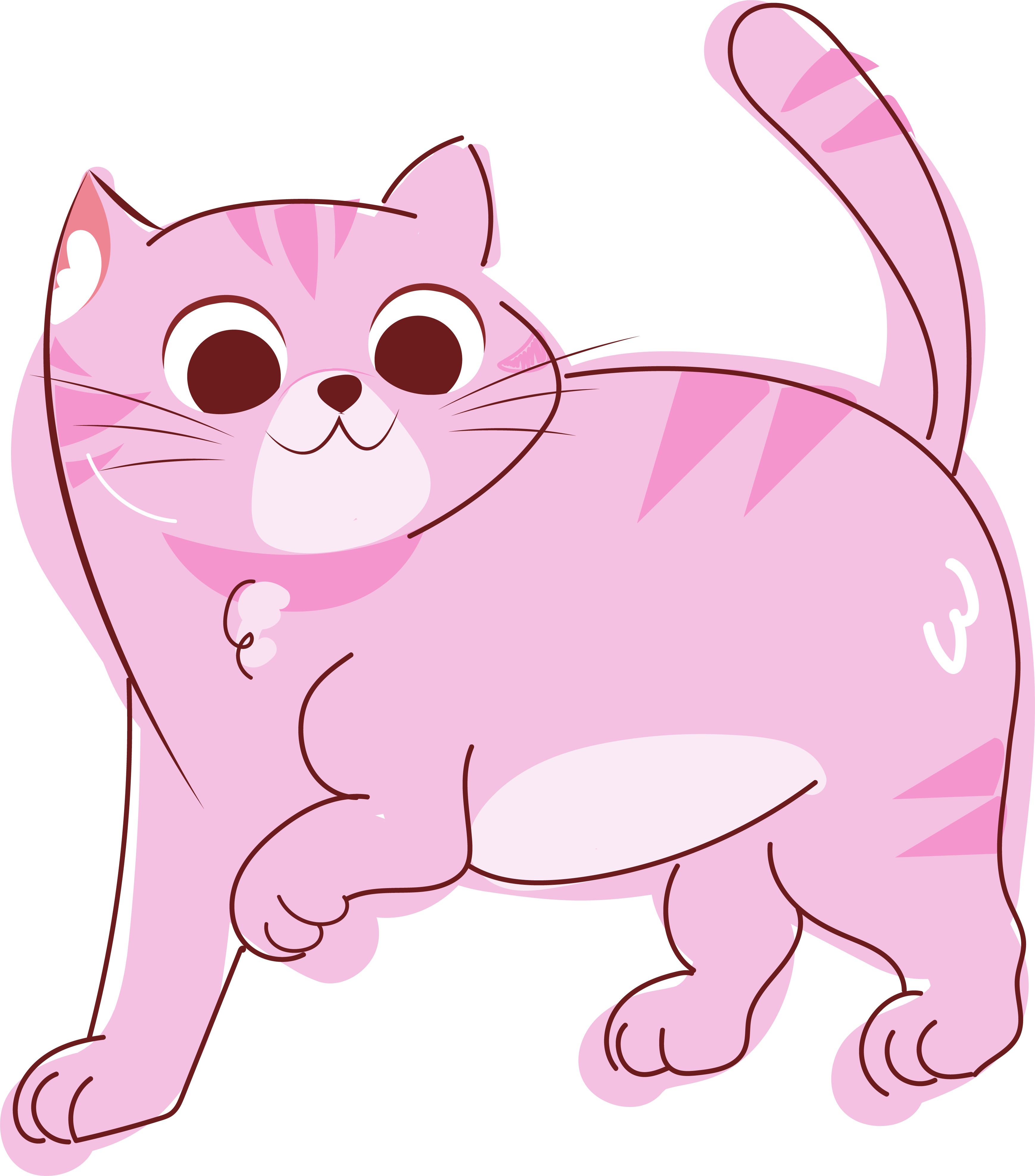 Gato disfrutando dieta personalizada Trunimal