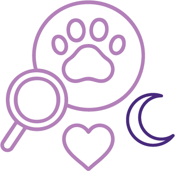 Nutrición funcional