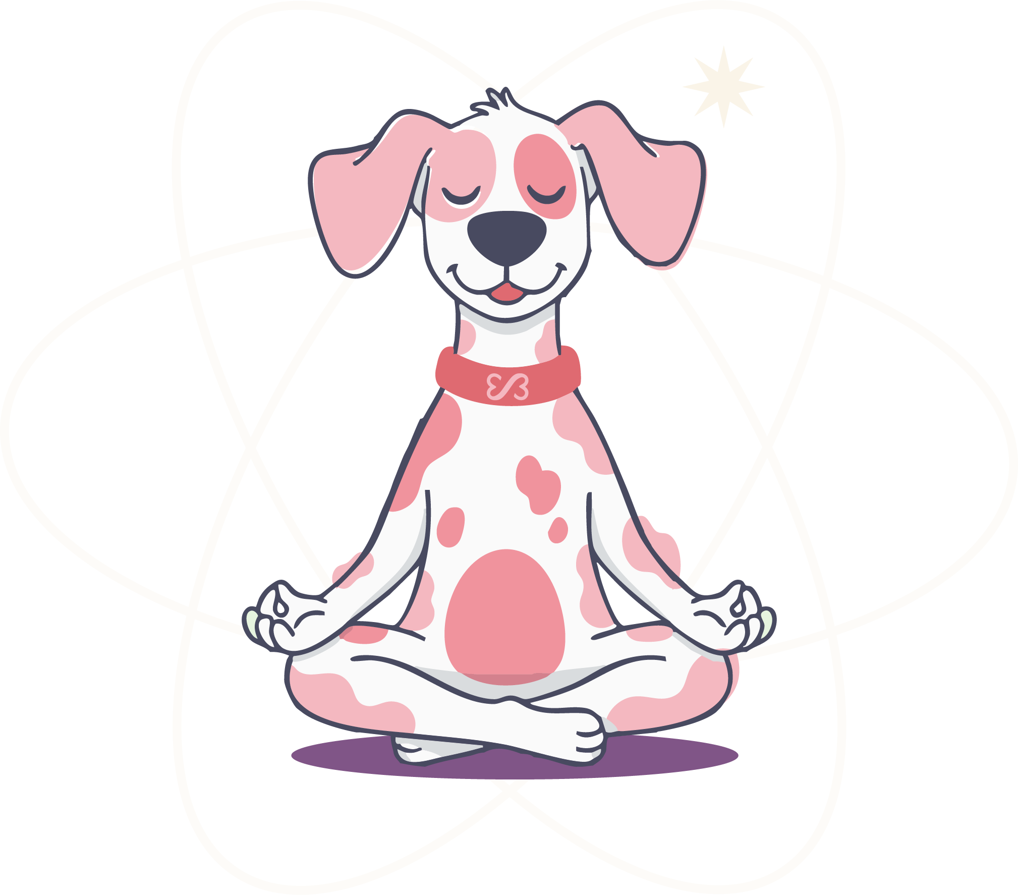 Perro en meditación - coaching holístico