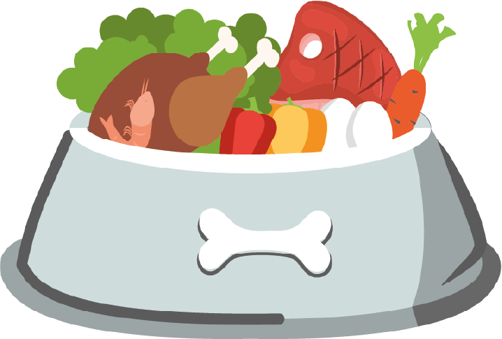 Plato de comida natural para mascotas